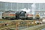 BMAG 11279 - DR "44 2225-9"
06.03.1988 - Cottbus, Bahnbetriebswerk
Tilo Reinfried