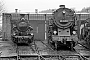 Hanomag 10186 - DGEG "95 0028-1"
23.04.1989 - Bochum-Dahlhausen, EisenbahnmuseumThomas Gottschewsky