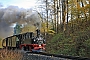 Hartmann 3450 - IGP "99 568"
31.10.2021 - Jöhstadt-Steinbach, Haltepunkt Wildbach
Klaus Hentschel