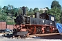 Hartmann 3670 - IGP "99 1590-1"
__.07.1994 - Jöhstadt
Niels Munch Christensen