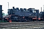 Henschel 22175 - DB  "064 247-0"
07.05.1973 - Aschaffenburg, Bahnbetriebswerk
Martin Welzel