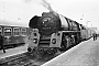 Henschel 22928 - DR "01 1518-8"
12.01.1981 - Leipzig, Hauptbahnhof
Jens-Uwe Paul