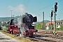 Henschel 23254 - Verein Pacific "01 202"
06.05.2016 - Neustadt (Weinstraße), Hauptbahnhof
Steffen Hartz