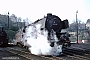 Henschel 24265 - DB "44 096"
__.04.1967 - Wuppertal-Vohwinkel, Bahnbetriebswerk
Ulrich Budde