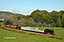 Henschel 24917 - CFV3V "158"
24.09.2011 - Treignes
Werner Wölke