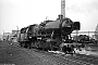 Henschel 25815 - DB  "050 596-6"
26.03.1972 - Hof, Bahnbetriebswerk
Martin Welzel