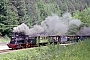 Humboldt 135 - IG Bw Dresden-Altstadt "89 6009"
06.06.2004 - bei Neustadt (Weinstraße)
Joachim Lutz