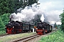 Jung 261 - HSB "99 5902"
25.05.2002 - Wernigerode-Drei Annen Hohne
Dr. Werner Söffing