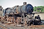 Krenau 1428 - DR "Dsp 2"
28.05.1992 - Altenburg, Bahnbetriebswerk
Frank Glaubitz Krenau 1428 - DR "Dsp 2"
28.05.1992 - Altenburg, Bahnbetriebswerk
Frank Glaubitz