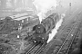 Krupp 2388 - DR "50 3531-6"
10.11.1983 - Stendal
Jens-Uwe Paul