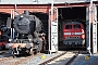 Krupp 2564 - SEM Siegen "50 1724"
19.09.2010 - Siegen
Werner Peterlick