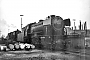 Krupp 3445 - DB "023 057-3"
23.05.1968 - Rheine, Bahnbetriebswerk
Norbert Rigoll (Archiv Norbert Lippek)