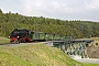 LKM 132034 - SDG "99 1793-1"
09.09.2016 - Oberwiesenthal, ViaduktMartin Welzel