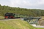 LKM 132034 - SDG "99 1793-1"
09.09.2016 - Oberwiesenthal, Viadukt
Martin Welzel