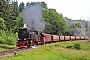 LKM 134013 - HSB "99 7236-5"
18.07.2013 - bei Wernigerode-Drei Annen Hohne, Bahnhof
Jens Vollertsen