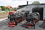 LKM 134015 - HSB "99 7238-1"
08.06.2012 - Wernigerode
Jens Grünebaum