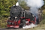 LKM 134016 - HSB "99 7239-9"
03.10.2019 - Drängetal, am Thumkuhlenkopftunnel
Martin Welzel