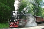 LKM 134017 - HSB "99 7240-7"
25.05.2014 - Wernigerode, Bahnhof Steinerne Renne
Hinnerk Stradtmann