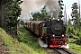 LKM 134028 - HSB "99 7247-2"
17.06.2017 - Brocken, Betriebsbahnhof Goetheweg
Werner Wölke