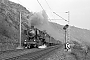 Schichau 3405 - DB "50 443"
25.03.1961 - Filsen
Hans Schmidt (†) (Archiv Jens Grünebaum) Schichau 3405 - DB "50 443"
25.03.1961 - Filsen
Hans Schmidt (†) (Archiv Jens Grünebaum)