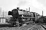 Schichau 3556 - DB  "044 216-0"
09.04.1976 - Gelsenkirchen-Bismarck, Bahnbetriebswerk
Michael Hafenrichter