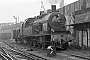 Vulcan 3967 - DB "78 505"
12.05.1961 - Hamburg, Bahnbetriebswerk Hauptbahnhof
Hans Schmidt (†) (Archiv Jens Grünebaum) Vulcan 3967 - DB "78 505"
12.05.1961 - Hamburg, Bahnbetriebswerk Hauptbahnhof
Hans Schmidt (†) (Archiv Jens Grünebaum)